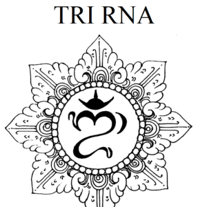 Tri RNA