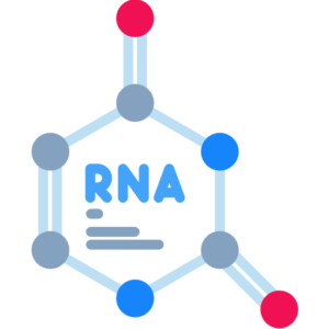 Total RNA İzolasyonu